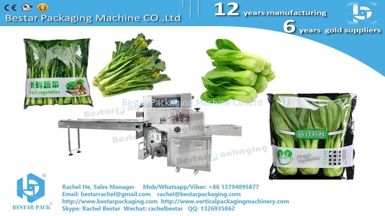 Envasado en bolsas de hojas de verduras y repollo máquina de servo envasado horizontal