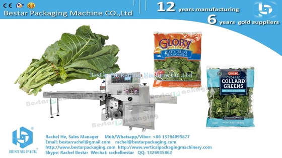 Máquina para envolver bandejas de verduras, taller de verduras caso real