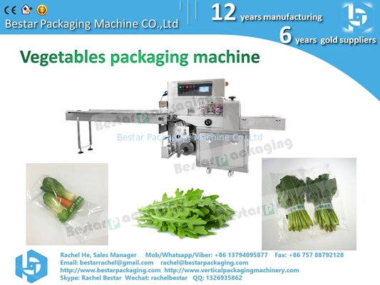 Envasado en bolsas de hojas de verduras y repollo máquina de servo envasado horizontal