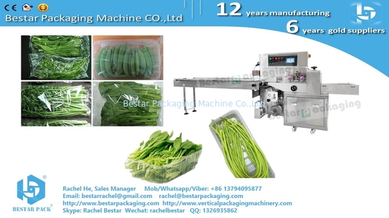 Máquina para envolver bandejas de verduras, taller de verduras caso real